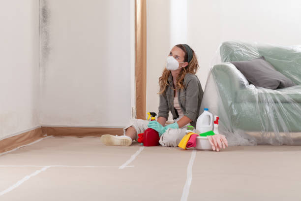 Reliable Black Mold Removal contractor in Island Lake, IL by WQB Mold Removal
